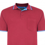 5400 Tipped polo shirt Burgundy