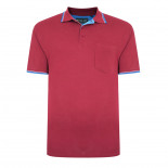 5400 Tipped polo shirt Burgundy